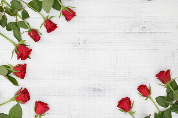 istock Red rose on white wooden background 1296551236