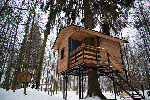 Cozy tree house. Among the trees in the winter forest house made of wood