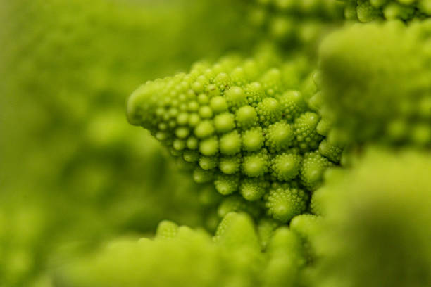 красивая природа — романеско брокколи - romanesco broccoli стоковые фото и изображения