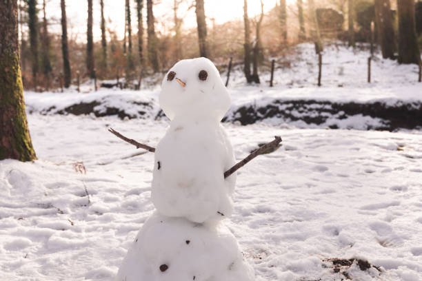 istock Cute snowman on a snowy forest 1296555470