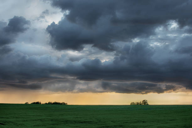 istock A huge, gloomy, frightening, mesmerizing thundercloud over the field, under the golden setting sun. Dawn. dramatic dark sky over rural field landscape. Horizontal photo. 1296559317