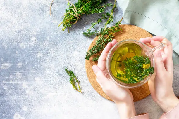 Woman holds a hot cup of thyme tea. Top view flat lay. Free space for your text.