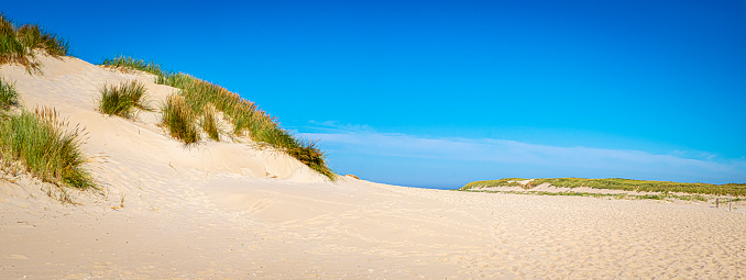 Sand dune at the Slufter, a salt marsh plain on the island Texel, West Frisian Islands, North Holland, Netherlands