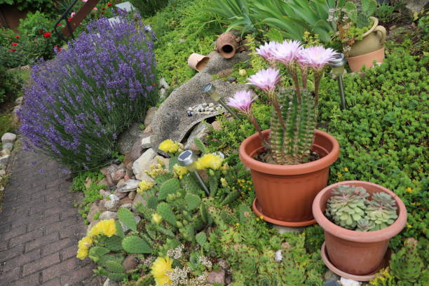 istock Blooming rock garden in summer, Germany 1296563521
