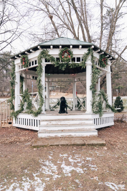 istock Black Labrador retriever dog sits on a whitewashed gazebo in a park, decorated for the Christmas holiday 1296576155