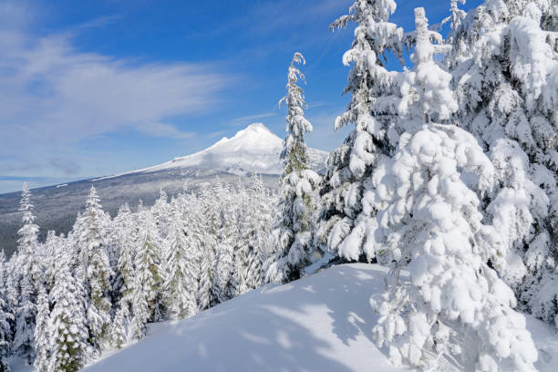 vista sulla natura selvaggia del monte hood - mt hood national park foto e immagini stock