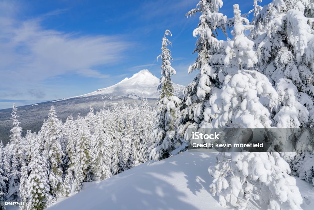 Mt Hood Wilderness View Fresh powder on a ridge top with a view of Mount Hood Mt Hood Stock Photo