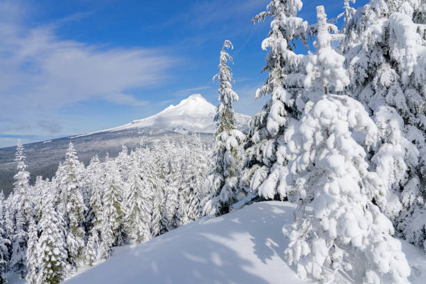 Mt Hood Wilderness View Fresh powder on a ridge top with a view of Mount Hood mt hood photos stock pictures, royalty-free photos & images