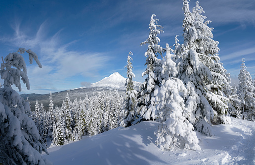 High Resolution Panorama of Show Covered Mount Hood from Ridge top