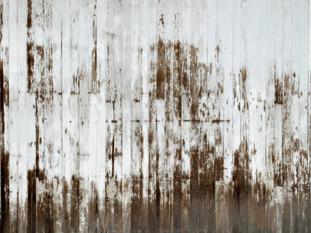 白いペンキを剥がして古い農場の納屋の壁 - peeling paint wall white ストックフォトと画像