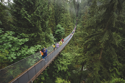Tourists enjoy a visit to the Capilano Suspension Bridge Park in North Vancouver, B.C. Canada