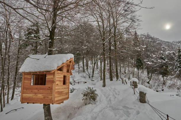 istock wooden cottage above a tree 1296587060