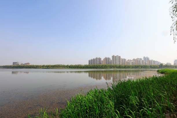 istock Waterfront city building scenery, China 1296587217