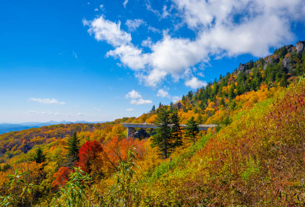 istock Beautiful autumn mountain scenery in North Carolina. 1296588867