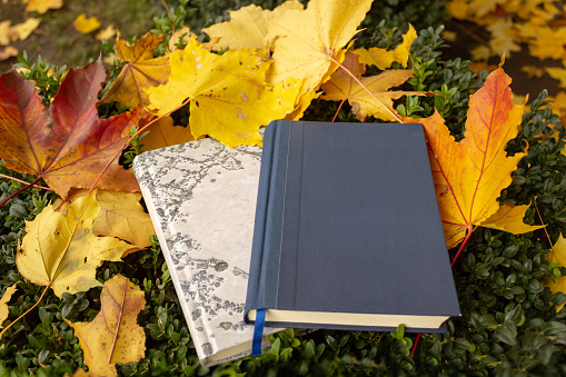 The books lying on a boxwood bush strewn with autumn yellow fallen maple leaves. Life summary concept, reading promotion, copy space