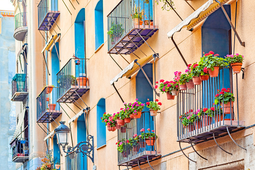 Balconies with red geranium flowers in Valencia Spain