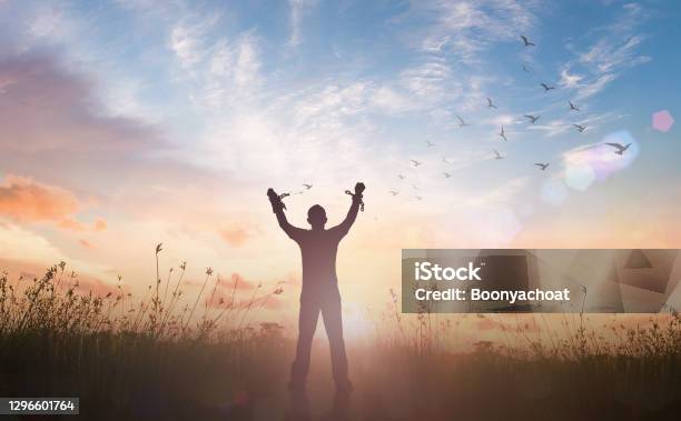 Slave Hands Broken Chains With Bird Flying Stock Photo - Download Image Now - Freedom, Slavery, Abolitionism - Anti-slavery Movement