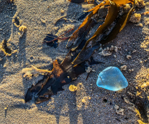 istock Turquoise sea glass 1296606227