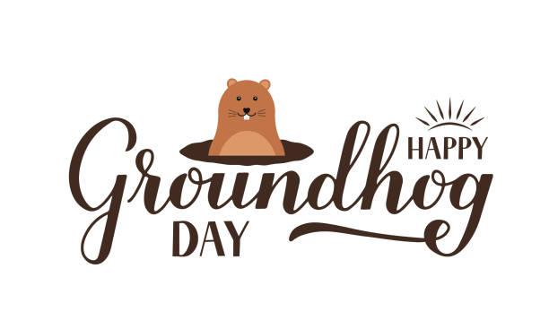 Happy Groundhog Day calligraphy hand lettering with cute cartoon groundhog isolated on white. Vector template for greeting card, typography poster, banner, flyer, t shirt, sticker, etc Happy Groundhog Day calligraphy hand lettering with cute cartoon groundhog isolated on white. Vector template for greeting card, typography poster, banner, flyer, t shirt, sticker, etc. groundhog stock illustrations