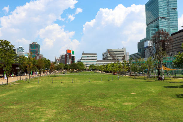 istock Grass area in Tennoji Park, Osaka 1296606435