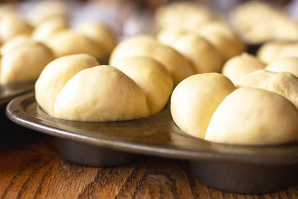 istock Clover Leaf dinner roll dough raises in muffin tins. 1296619005