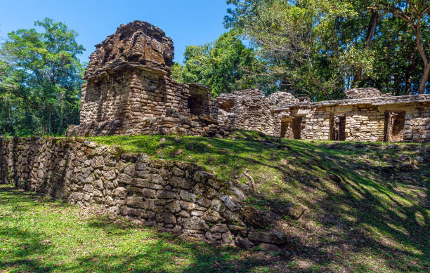 istock Yaxchilan Mayan Ruins, Chiapas, Mexico 1296627697