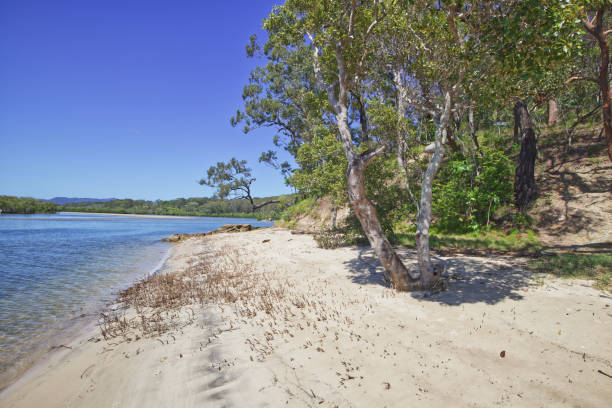 istock Australian gold Coast beach skyline 1296628440