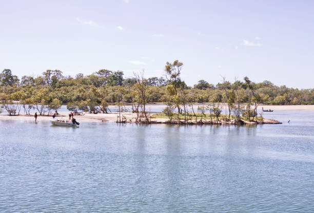 австралийский речной остров берли головы - rainforest forest river australia стоковые фото и изображения