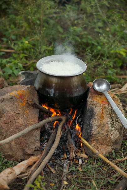 istock Traditional(Pongal) festival celebration in india 1296629577