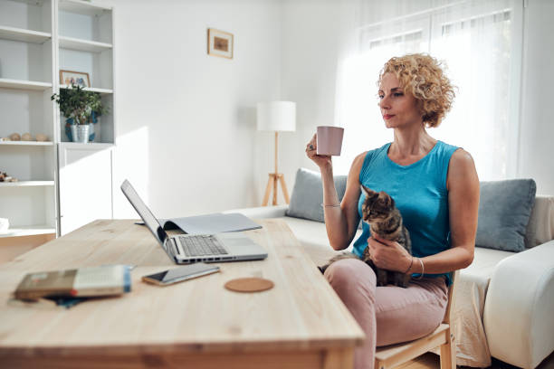 istock Woman working from home on a laptop / notebook with cat pet with her. 1296643791