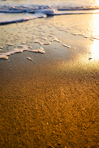 istock A warm sunset light illuminates the waves on the beach 1296646681