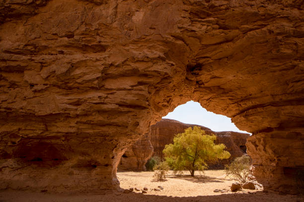 Green tree in the Ennedi massif, Sahara, Chad Green tree seen through one of the typical rock arches in the remote Ennedi Mountains (massif) in the Sahara desert, North-East Chad. The Ennedi massif was declared as an UNESCO World Heritage site in 2016. chad central africa stock pictures, royalty-free photos & images