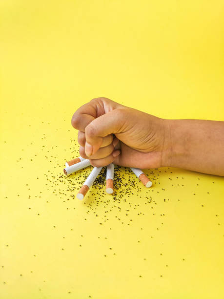 stop smoking. world no tobacco day. - breaking cigarette imagens e fotografias de stock