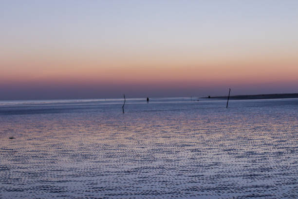 закат на пляже мюндви, катч - horizontal landscape coastline gujarat стоковые фото и изображения