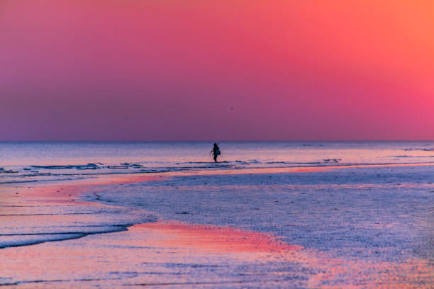 Sunset at Mandvi beach, Kutch Picturesque beach area known for its water sports, sunset views & solar-powered wind turbines. arabian sea photos stock pictures, royalty-free photos & images