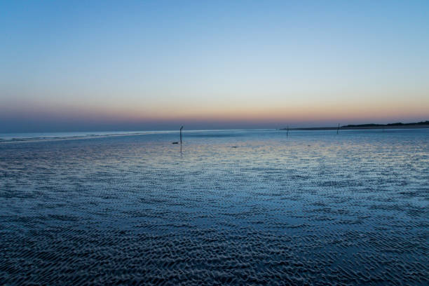 sonnenuntergang am strand von mandvi, kutch - horizontal landscape coastline gujarat stock-fotos und bilder