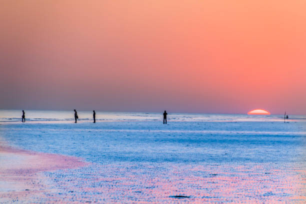 sonnenuntergang am strand von mandvi, kutch - horizontal landscape coastline gujarat stock-fotos und bilder