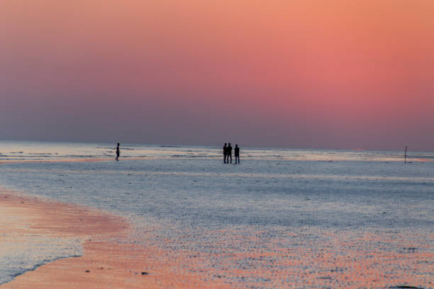 sunset at mandvi beach, kutch - horizontal landscape coastline gujarat imagens e fotografias de stock