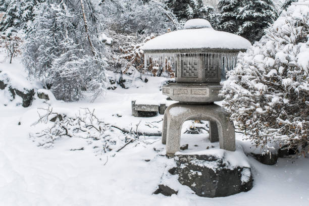 Vladivostok, Russia - November 20, 2020: Japanese rock garden after a winter ice storm. Trees covered with snow and ice. Cold frosty snowy weather. Beautiful Winter landscape.