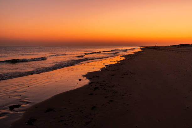 sonnenuntergang am strand von mandvi, kutch - horizontal landscape coastline gujarat stock-fotos und bilder