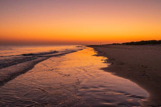 sonnenuntergang am strand von mandvi, kutch - horizontal landscape coastline gujarat stock-fotos und bilder