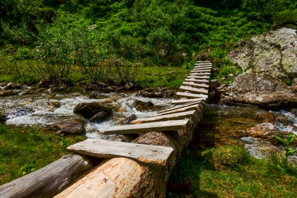 istock special wooden bridge over a mountain creek 1296657256