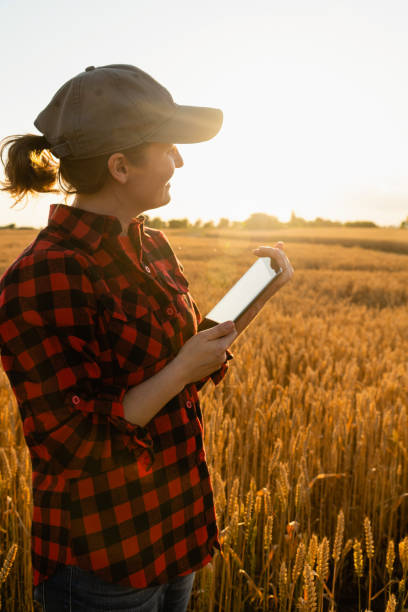 istock Woman farmer with a digital tablet 1296657290
