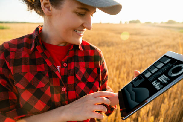 istock Woman farmer with a digital tablet 1296657301