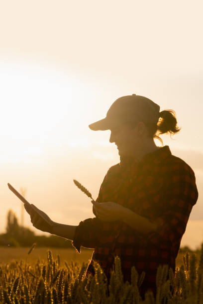 istock Woman farmer with a digital tablet 1296657307