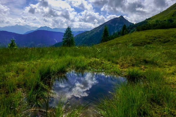istock reflection in a little pond on a green meadow while hiking 1296657316