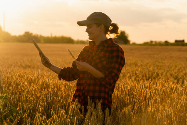 istock Woman farmer with a digital tablet 1296657341