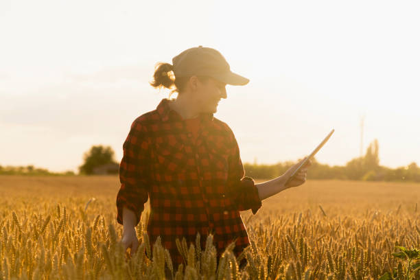 istock Woman farmer with a digital tablet 1296657374