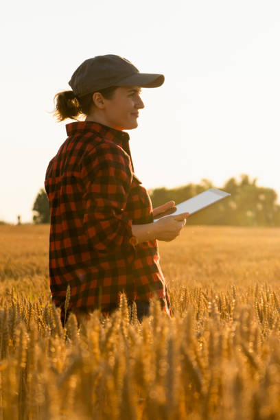 istock Woman farmer with a digital tablet 1296657422