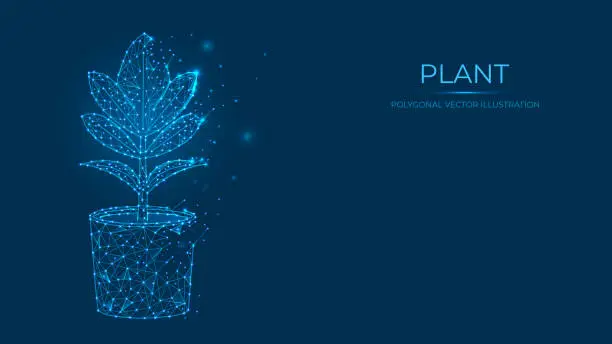 Vector illustration of Abstract polygonal vector illustration of a plant. Low poly concept of flower in a pot made of lines and dots isolated on blue background.